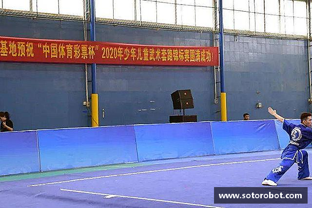 认识55世纪